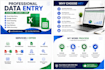 do data entry excel cleanup copy paste and google sheets