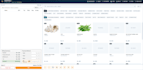 develop professional web pos system