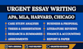 do urgent essays in apa and mla format in 24hrs