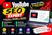 professional youtube video SEO to increase views, ranking
