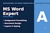 do professional assignment formatting and ms word document design