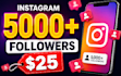 provide 5,000 instagram followers fast