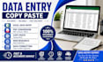 do accurate data entry, copy paste, excel and web research