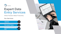 do accurate data entry copypaste excel and web resaerch