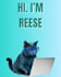 create a professional slide deck