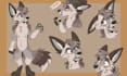 create ref sheet furry reference sheet fursona ref sheet furry art custom art