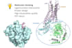 do molecular docking with high visualization quality