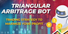 develop crypto arbitrage bot, dex arbitrage bot, triangular arbitrage bot