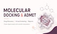 perform molecular docking, admet analysis for drug discovery