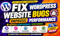 fix wordpress website bugs and improve performance
