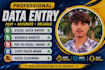ido excel data entry, data cleaning, PDF to excel conversion