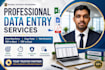 do accurate data entry, excel data entry