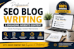 professional SEO blog and article writing