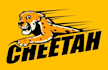 make cheetah mascot logo design with 1 day delivery