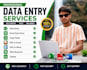 do  data entry, excel data entry, copy paste and web research