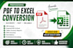 convert scanned PDF to excel professionally
