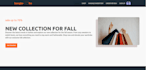 develop a modern mern stack web application