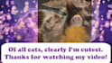 create a photo montage with music, motion and captions