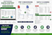 do accurate data entry, copy paste, web research and excel data entry