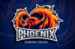 draw phoenix logo design for your business