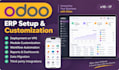 develop, customize and implement odoo erp and CRM