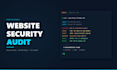do a professional website security audit