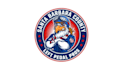 design exceptional cheeky aviation unit logo