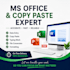 data entry, excel data entry, copy paste