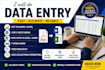 do accurate data entry ,copy paste, PDF to world and excel