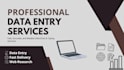 do professional data entry, word processing, and excel work