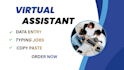 do data entry services