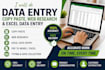 do data entry, copy paste, web research, and excel data entry