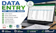 do accurate data entry ,copy paste,typing and excel  data entry