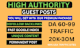 do premium SEO guest post backlink and publish news article