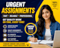 do urgent assignment,writing,research and eassy writing within 24 hours