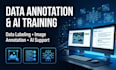 accurate data annotation data labeling and ai training tasks