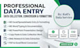 do professional data entry and ms office tasks