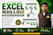 clean, format, merge and split excel data professionally