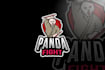 create a custom panda character logo