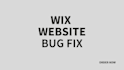 fix bugs in your website