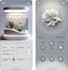 graphic and product design