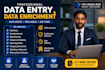 professional data entry and data enrichment service