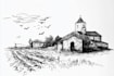 create urban sketches and architectural illustrations