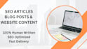 write SEO articles, blog posts and website content