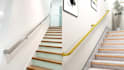 design modern 3d staircase, spiral staircase and handrail