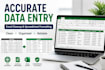 do accurate data entry and excel cleanup