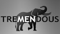 do creative, unique and tremendous business logo design