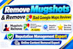 remove negative harassing mugshot search results and bad google maps links