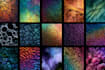 paint digital professional abstract art