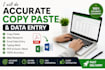 do copy paste web research and data entry